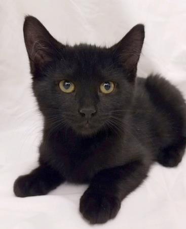 Binx